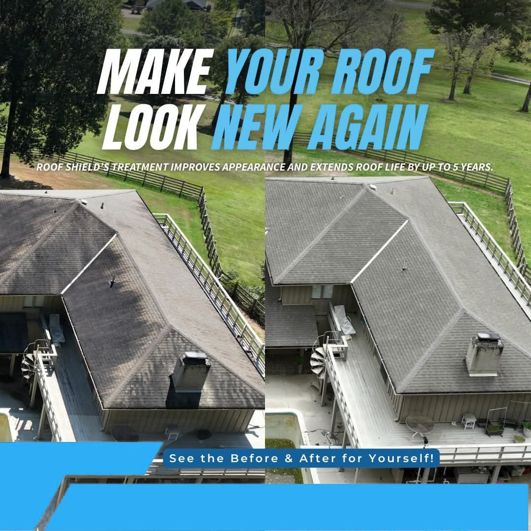 Roof Restoration