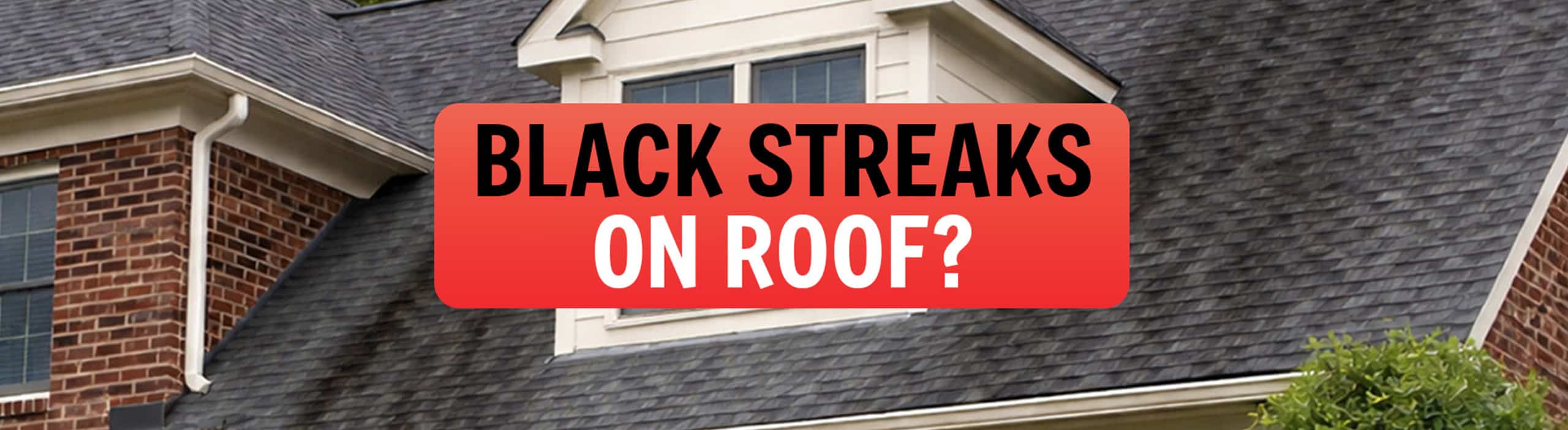 Text reading 'Black streaks on roof?'