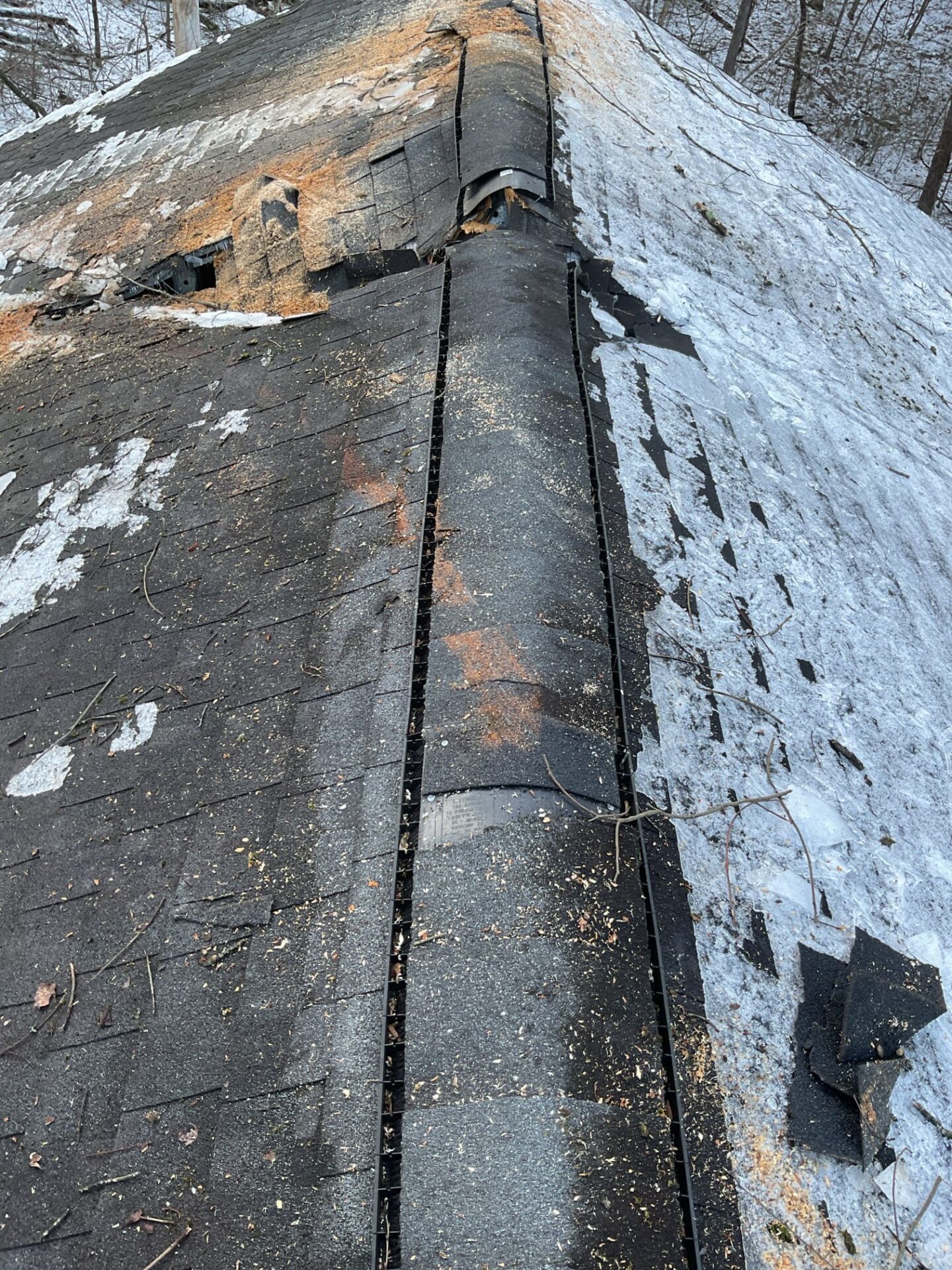 Roof damage from a fallen tree in nashville tn