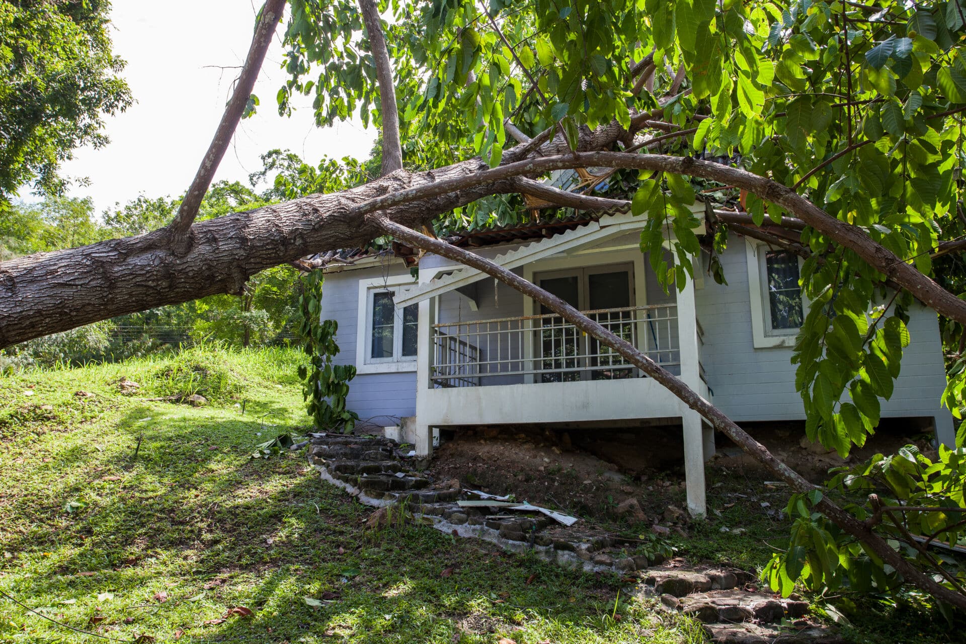A tree that has fallen on a home in nashville tn
