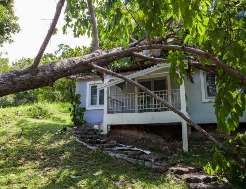 Should I Call a Roofer or Insurance First?