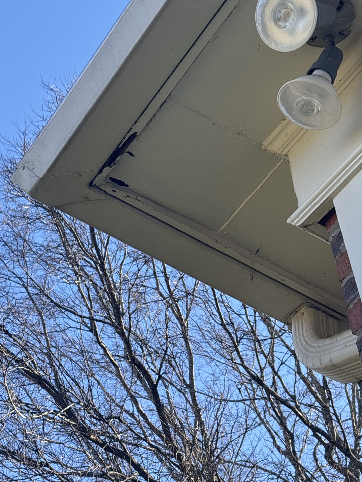 Drip Edge ( Cloned ) - drip edge