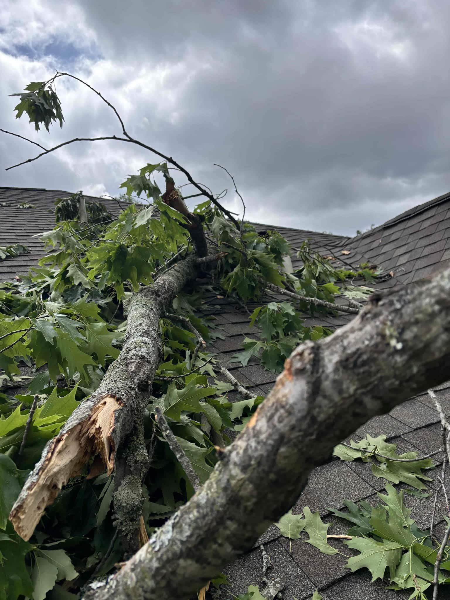 Nashville Roofing - Storm Damage Insurance