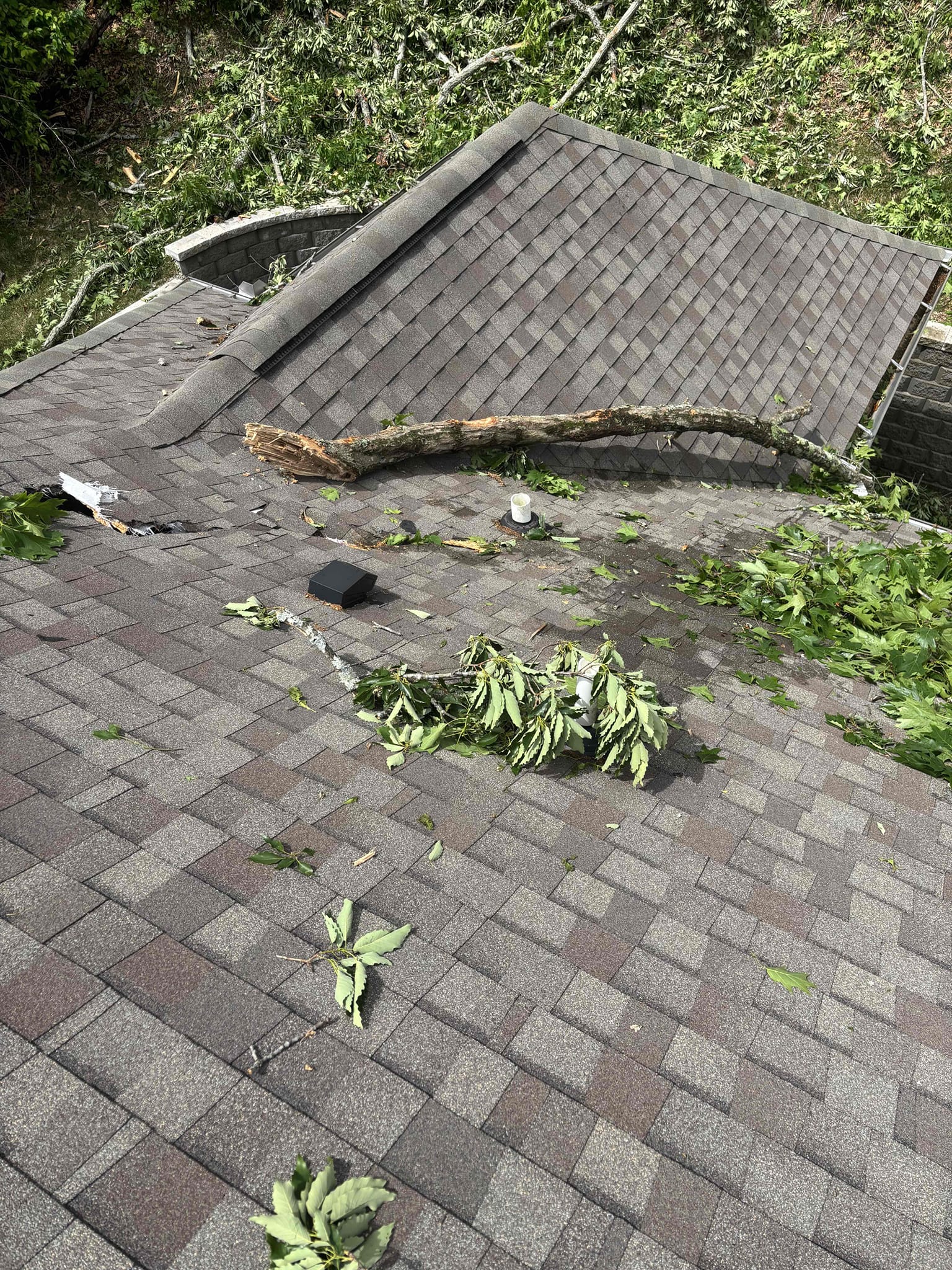 fallen-tree-on-roof-mr-goodroof-