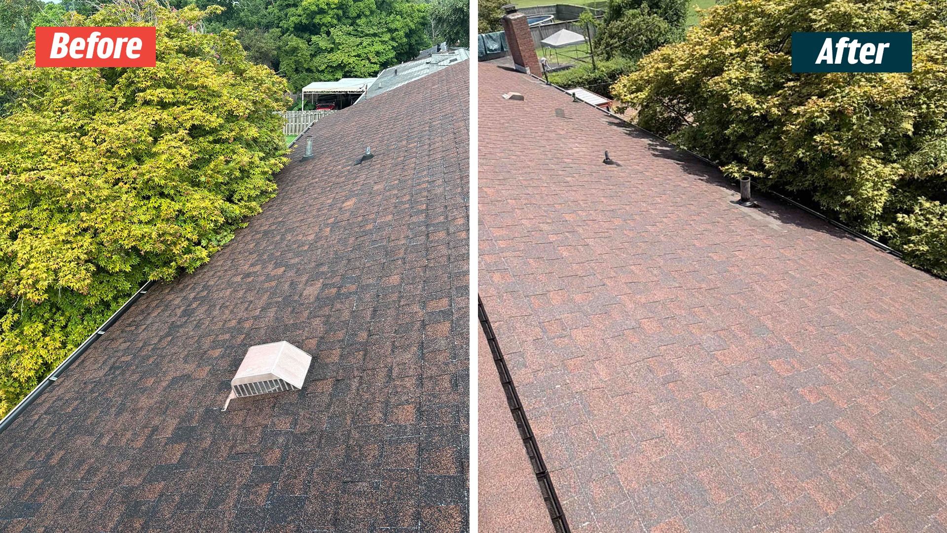 Shingle slope with roof pipes and an overhanging tree in a Nashville 37214 GoodShield before-and-after comparison.