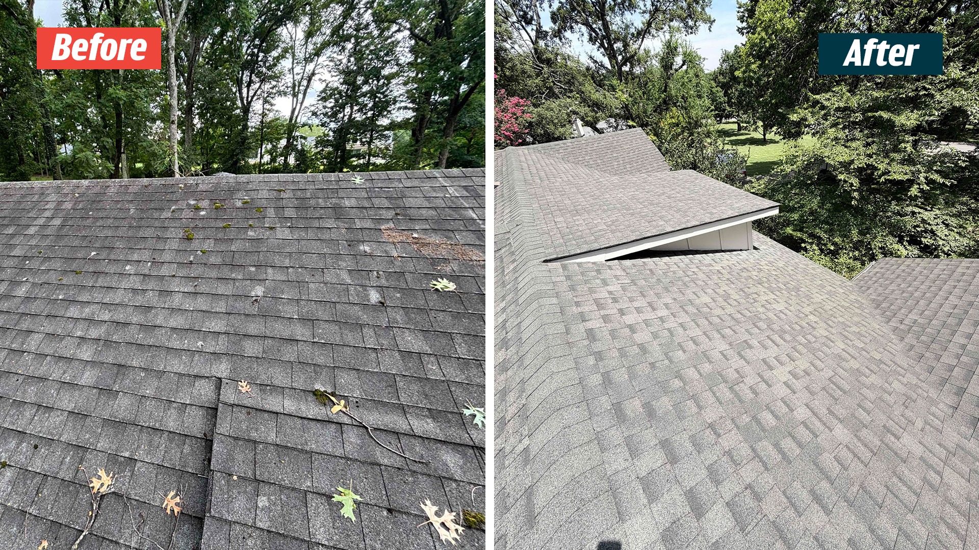 Leaves and visible growth on shingles before service, paired with cleared roof sections and dormers in Nashville 37220.