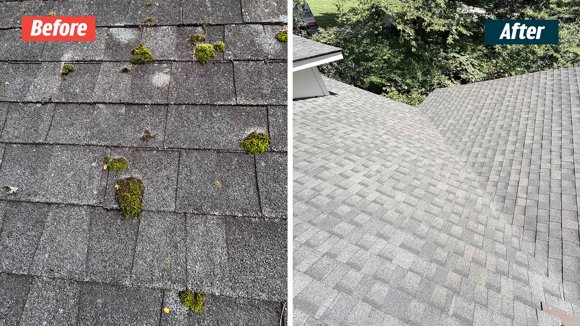 Close-up of moss on asphalt shingles before service, beside a wide cleared-roof view at a Nashville 37220 GoodShield project.